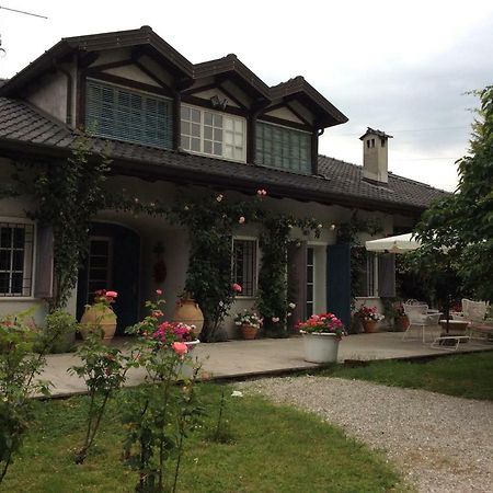 Le Querce Bed and Breakfast Tricesimo Exteriör bild