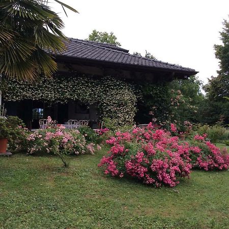Le Querce Bed and Breakfast Tricesimo Exteriör bild