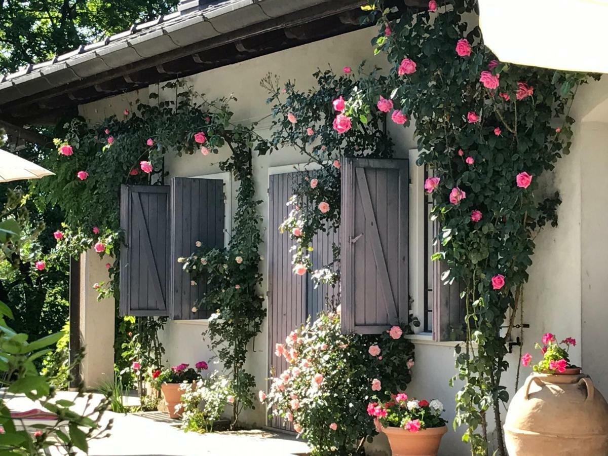 Le Querce Bed and Breakfast Tricesimo Exteriör bild