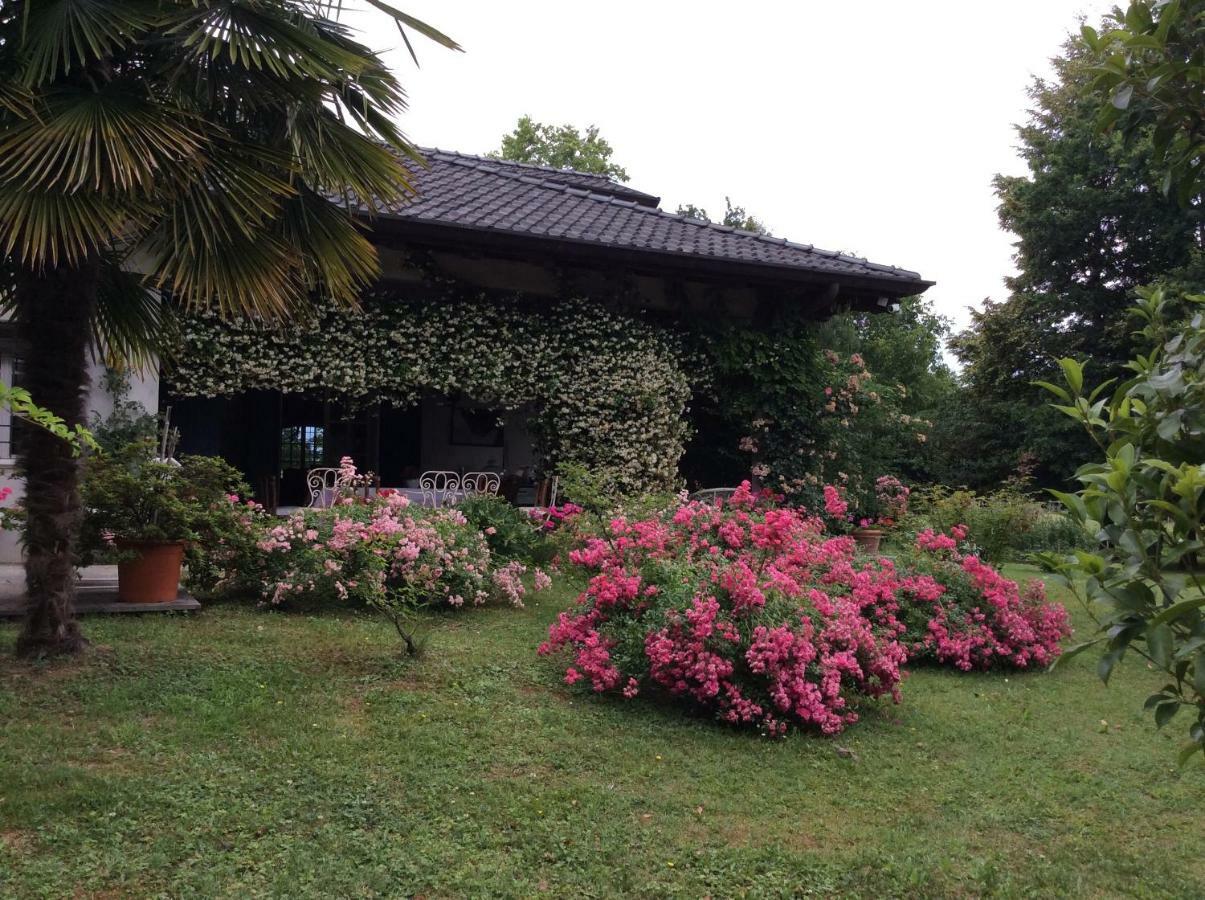 Le Querce Bed and Breakfast Tricesimo Exteriör bild